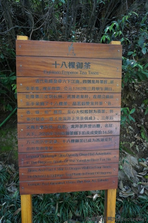 С DSC00389.JPG