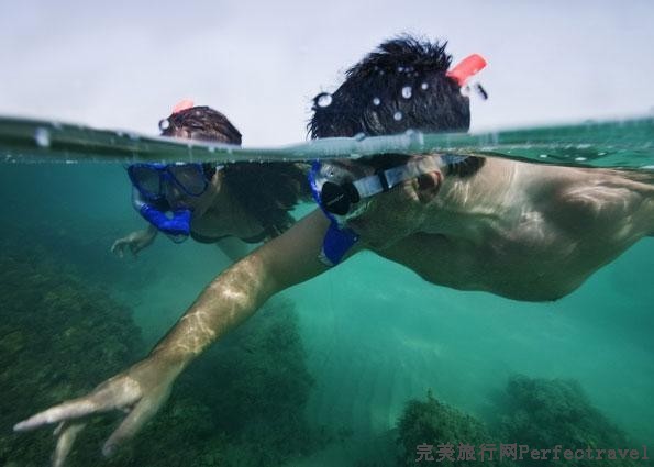 Desert_Islands_by_Anantara_Abu_Dhabi_Snorkelling-DSI_1651.jpg