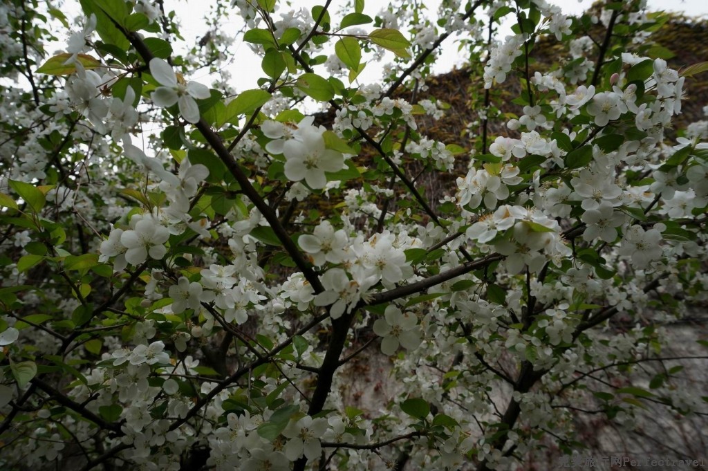 С С С DSC00240.JPG
