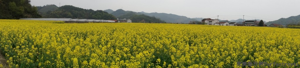 С С DSC00303.JPG