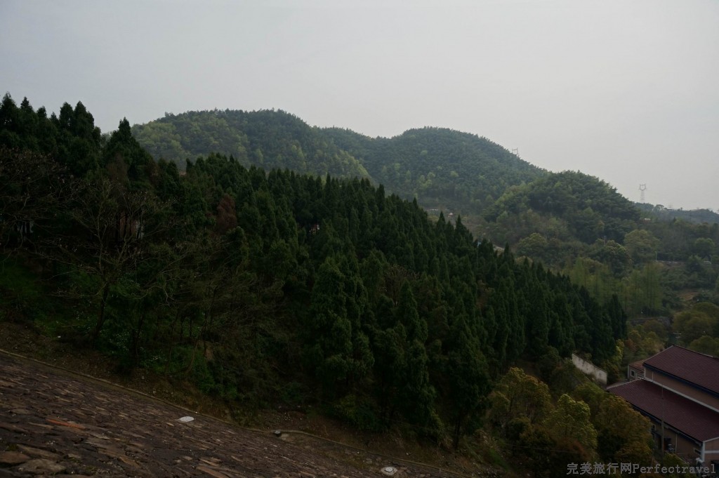 С С DSC00343.JPG