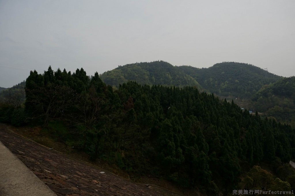 С С DSC00345.JPG
