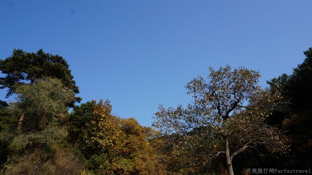 С DSC01764.JPG