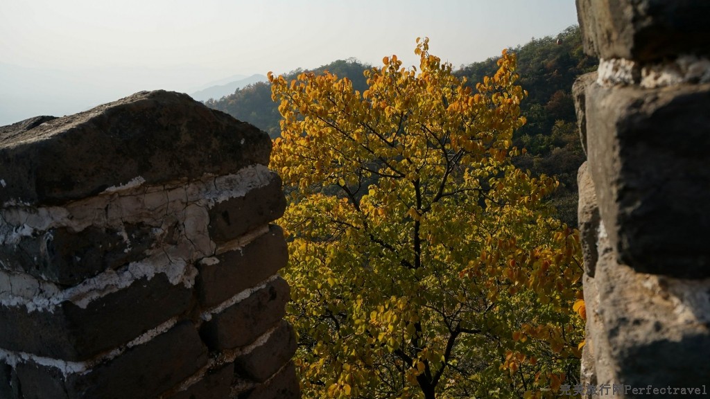 С DSC01810.JPG