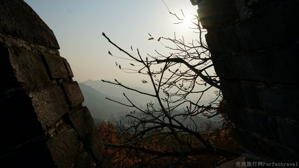 С DSC01837.JPG