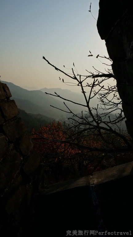 С DSC01838.JPG