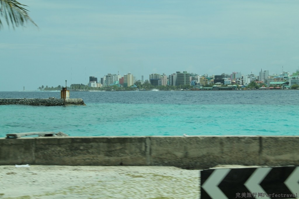 IMG_5096.JPG