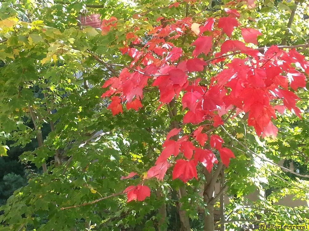 20131008_154453_nEO_IMG.jpg