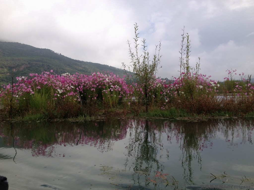 调整大小 IMG_3731.JPG