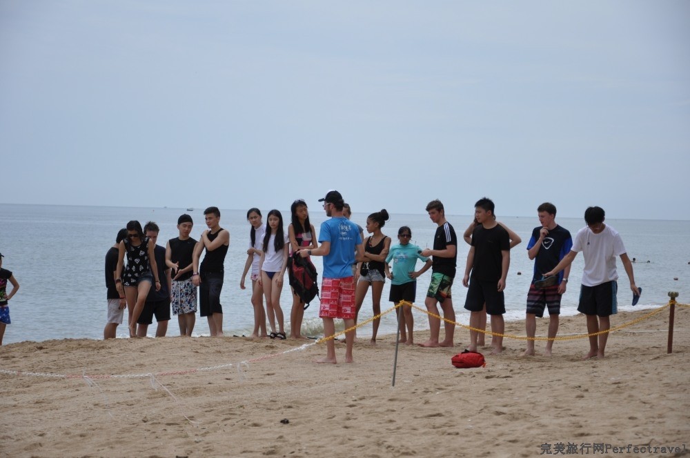 DSC_7319_01.JPG