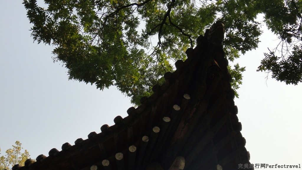 DSC04026_副本.jpg