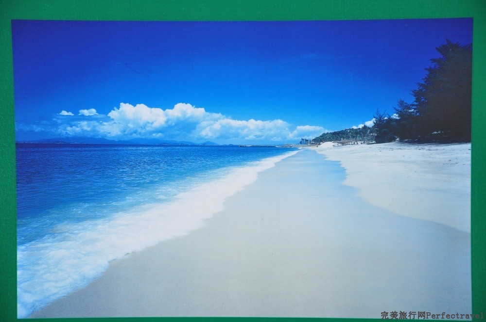 DSC_8386_01.JPG