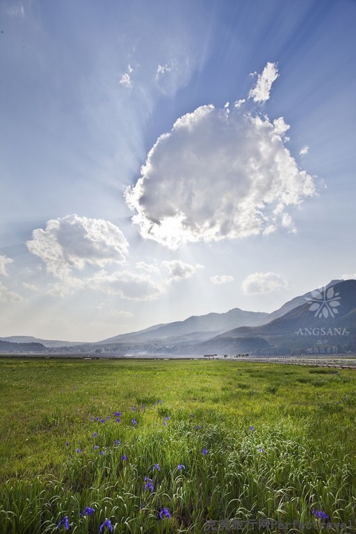 ANCNTC_MG_0408_Dest_ Tengchong marshlands _3620.jpg