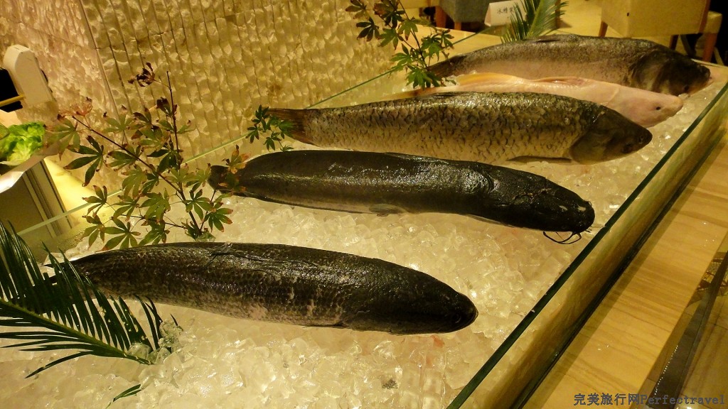 DSC04538_副本.jpg