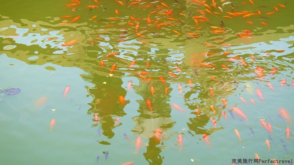 DSC04722_.jpg