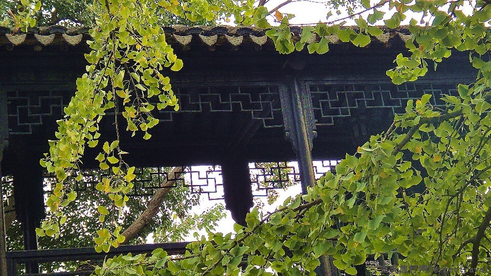 DSC04730_.jpg