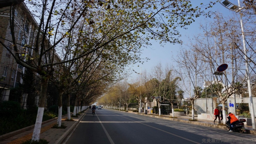 С С DSC03587.JPG