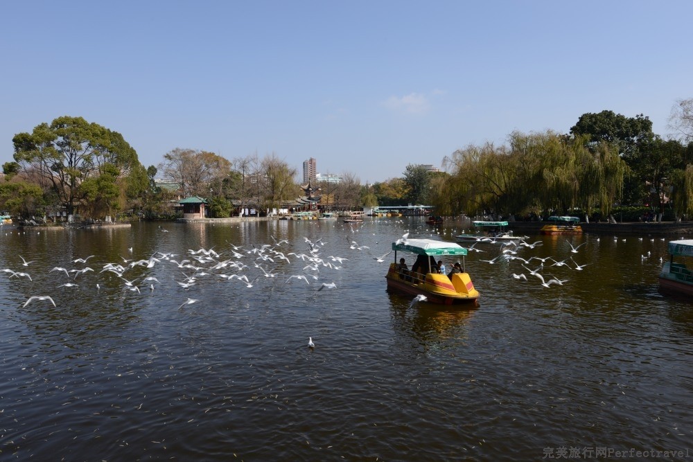 DSC_0690_01.JPG