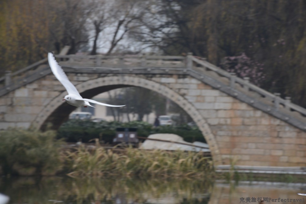DSC_1032_01.JPG