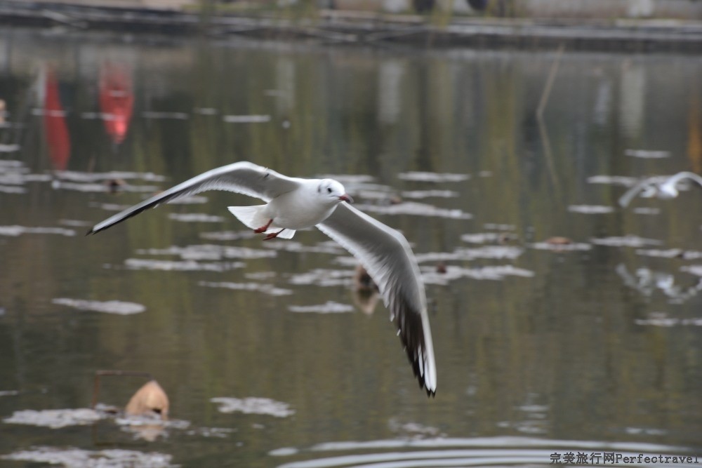 DSC_1054_01.JPG