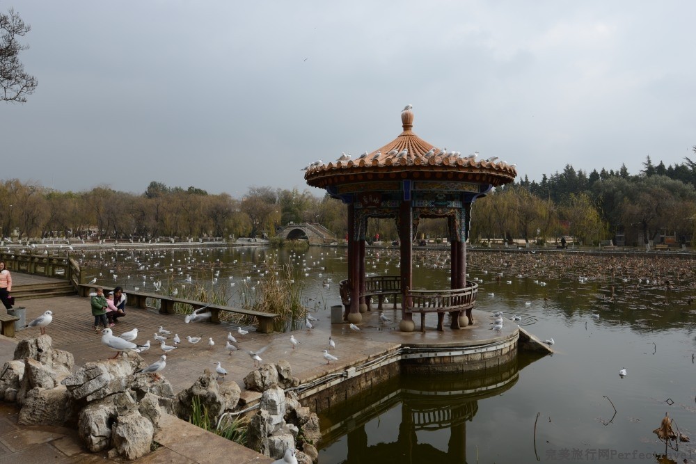 DSC_1091_01.JPG