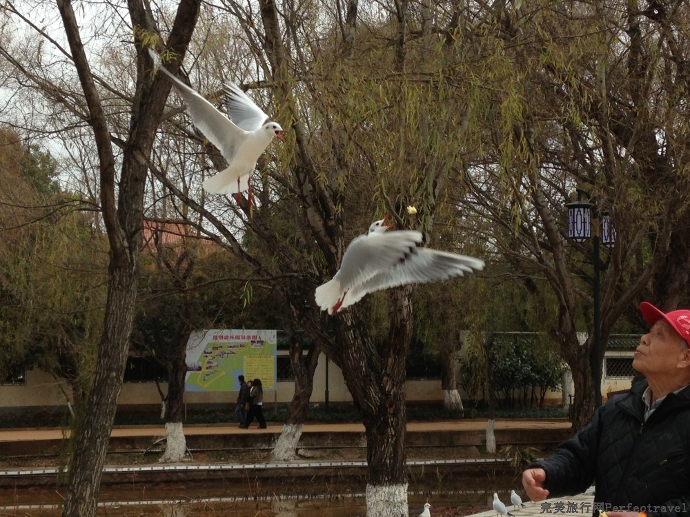 IMG_3957_01.JPG