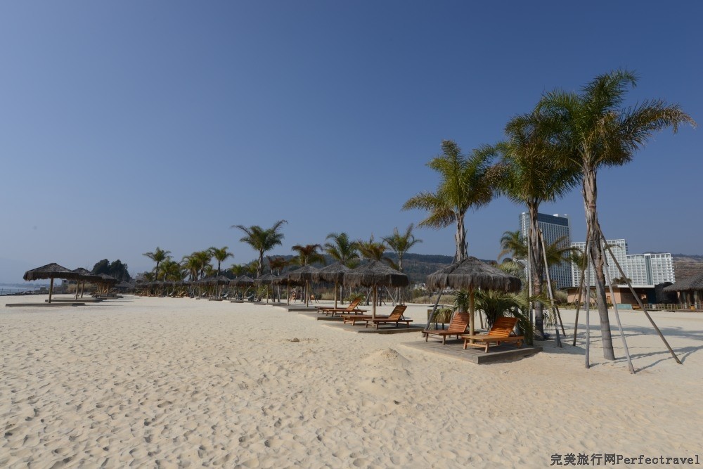 DSC_0910_01.JPG