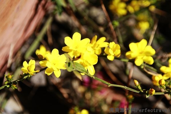 _MG_0617_.jpg