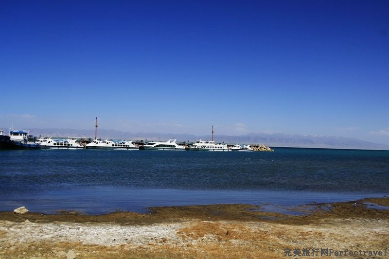 _MG_8683_.jpg