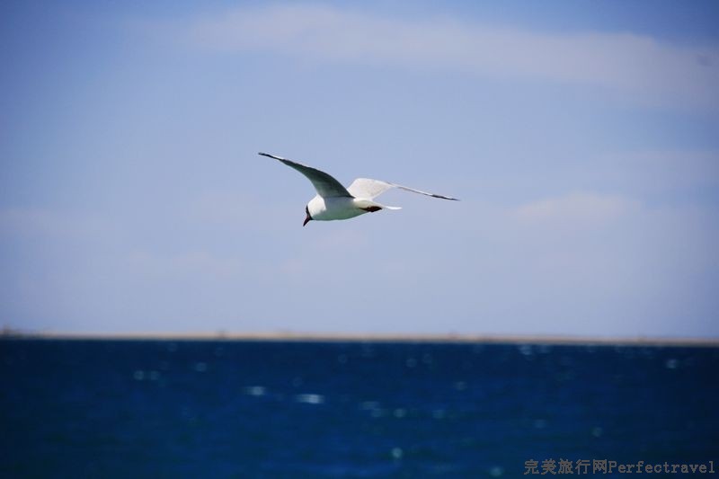 _MG_8695_.jpg