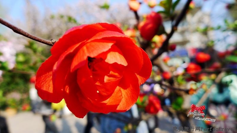 P1150172_.jpg