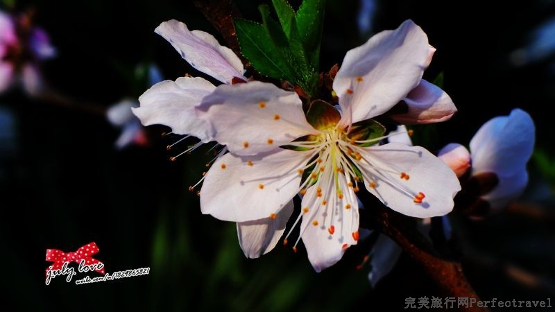 P1150215_.jpg