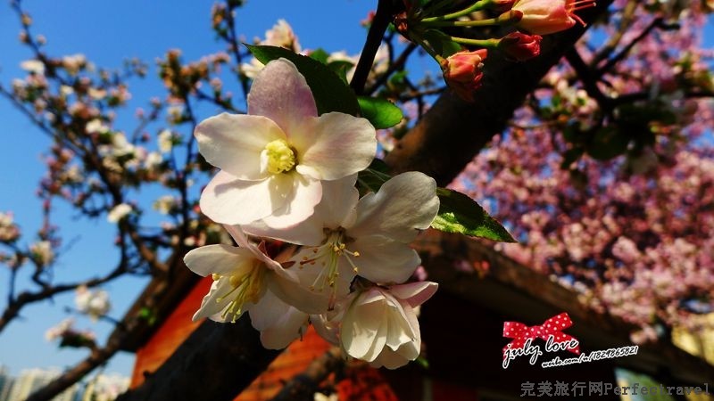P1150263_.jpg