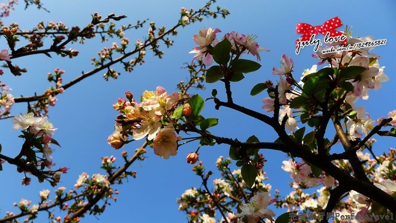 P1150267_.jpg