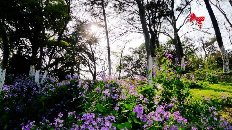 P1150304_.jpg