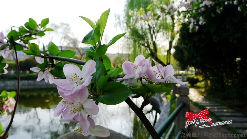 P1150338_.jpg