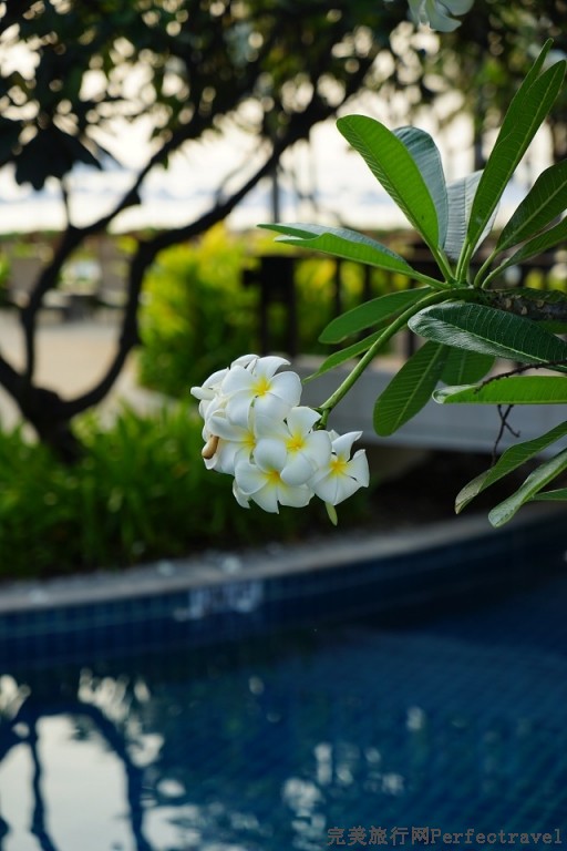 sheraton