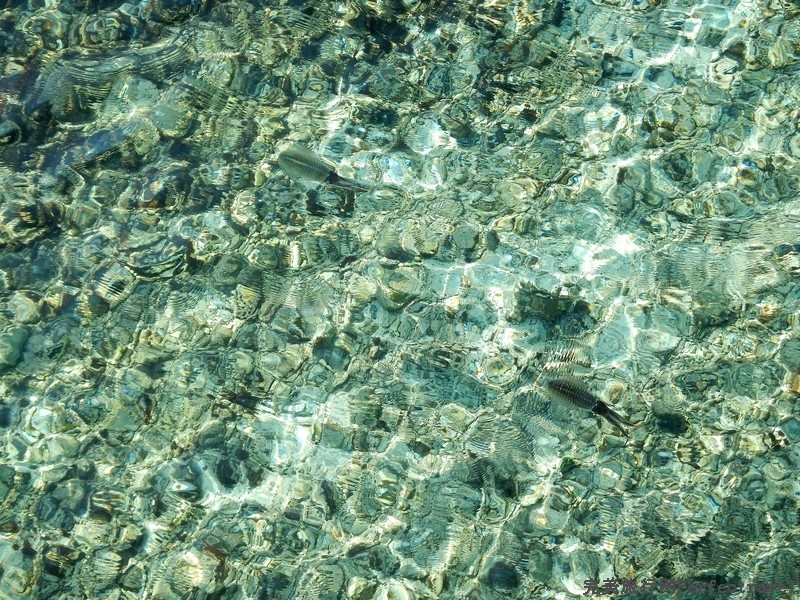 mlv67.jpg