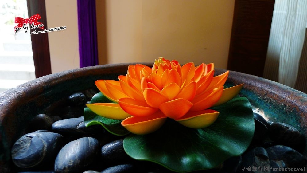 P1160338_ - .jpg