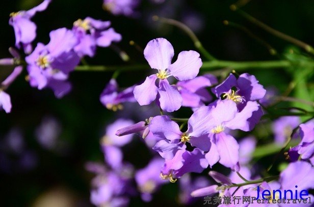 DSC_1627.jpg