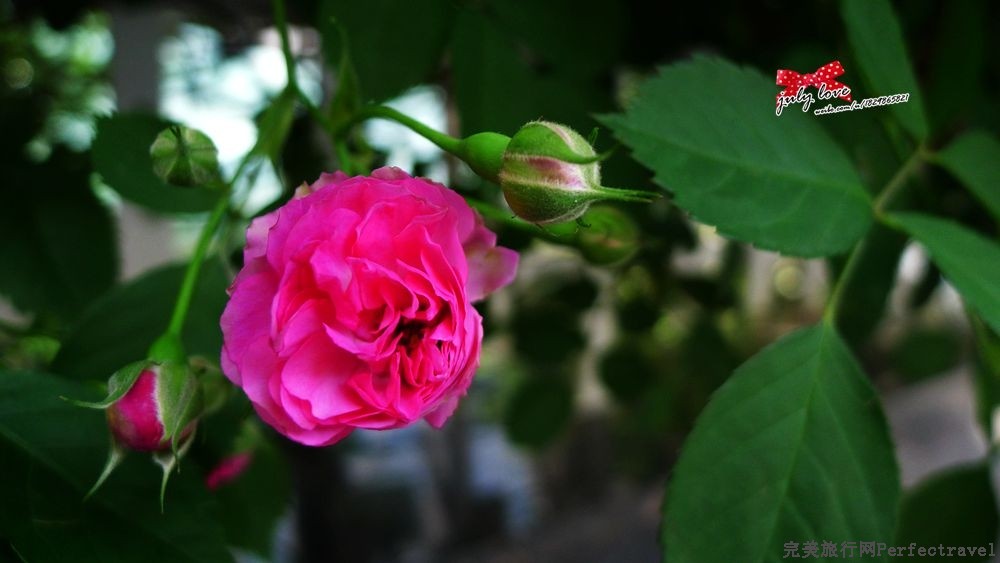 P1180967_.jpg
