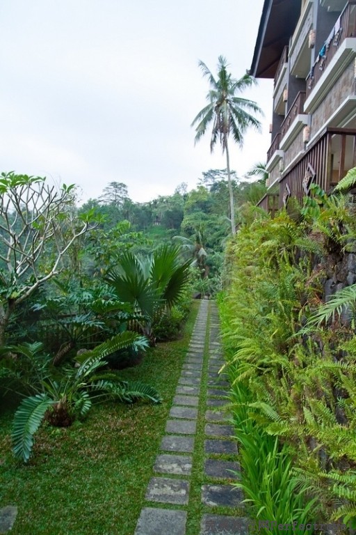 bali-0612.JPG