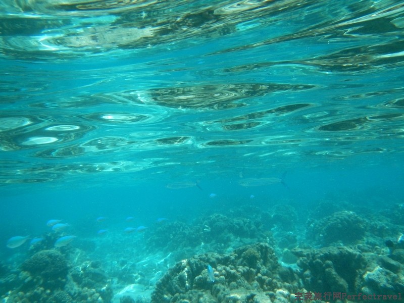 Saipan316.jpg