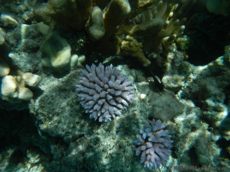 Saipan318.jpg