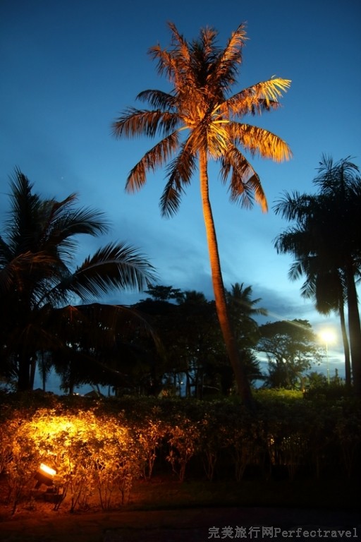 Saipan480.jpg