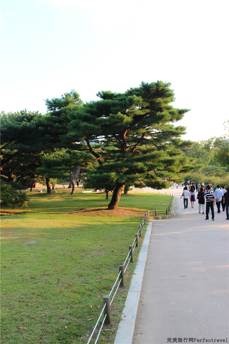 106.jpg