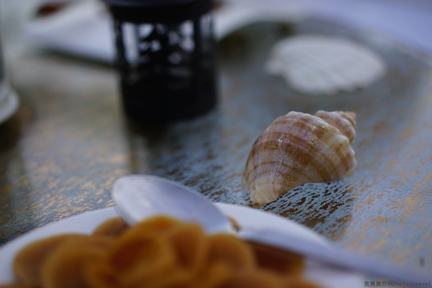 DSC08282.JPG