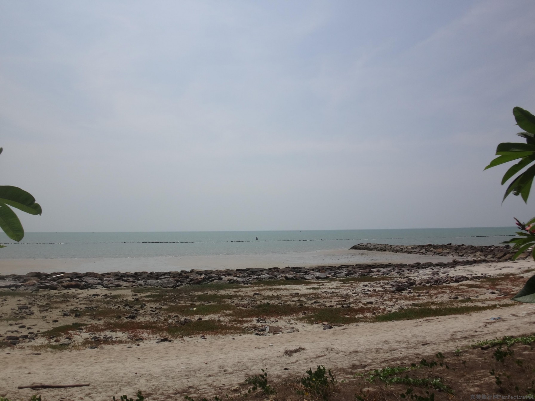 DSC00852.JPG