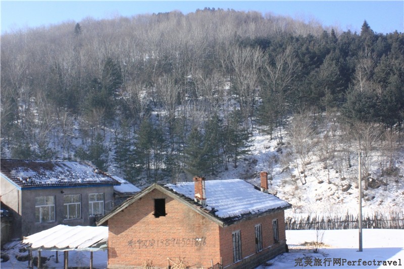 07.jpg