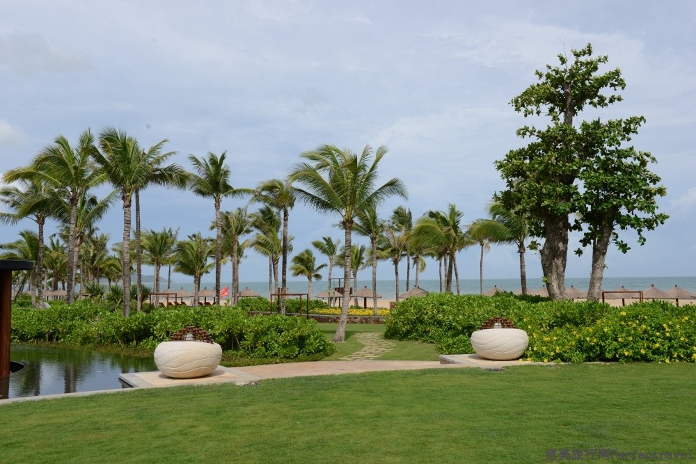 DSC_2366_01.JPG